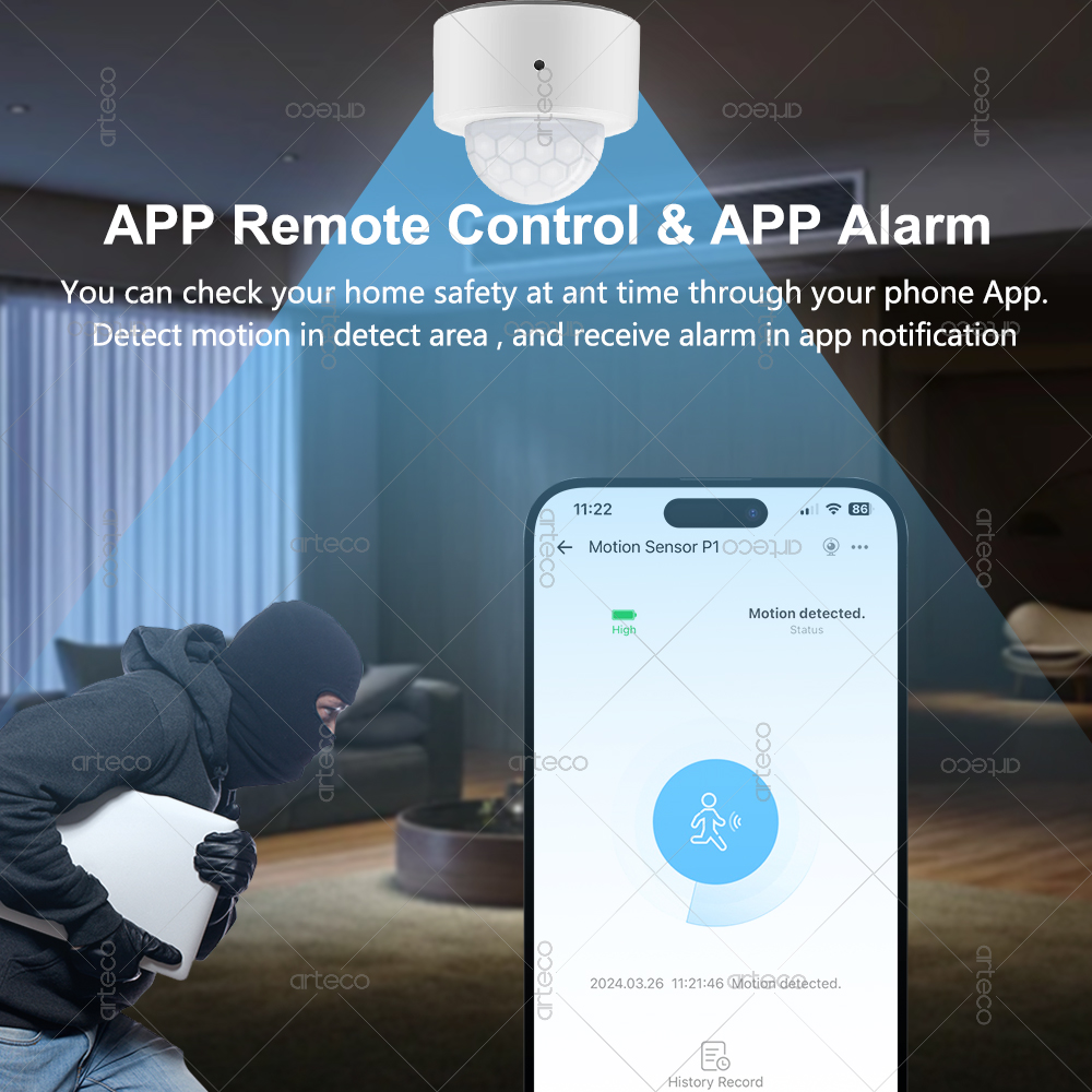 Ewelink Zigbee PIR Hareket Sen - Smart Home Security incelemesi ve fiyatı