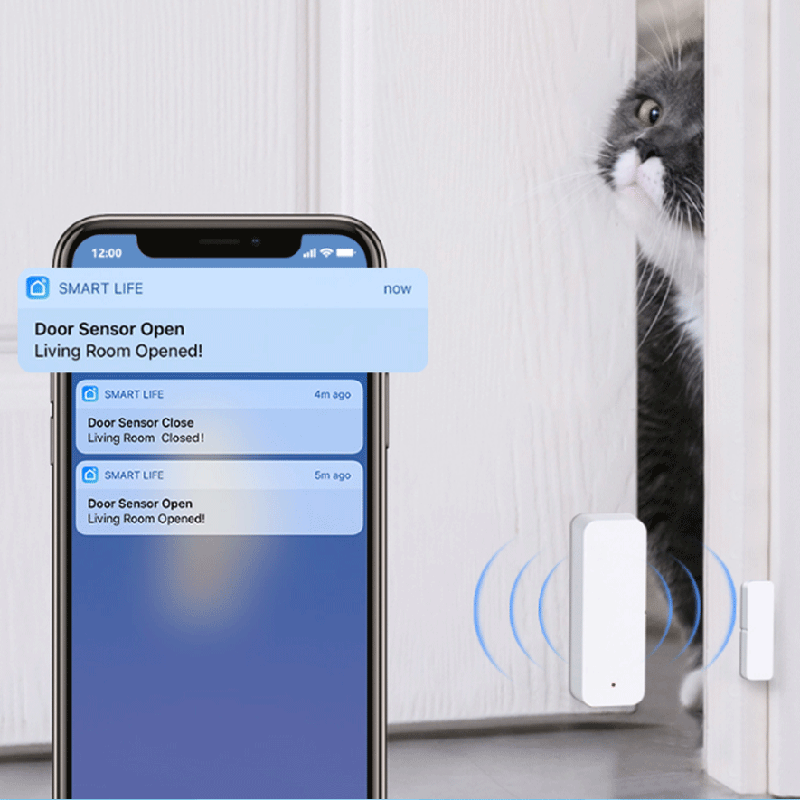 Tuya WiFi Zigbee Kapı Pencere  - Smart Home Certification incelemesi ve fiyatı